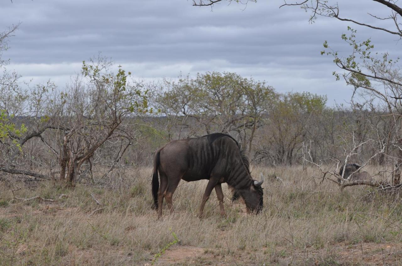 Hazyview Buffalo Game Lodge Eksteriør bilde